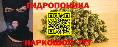 дмт Камышлов